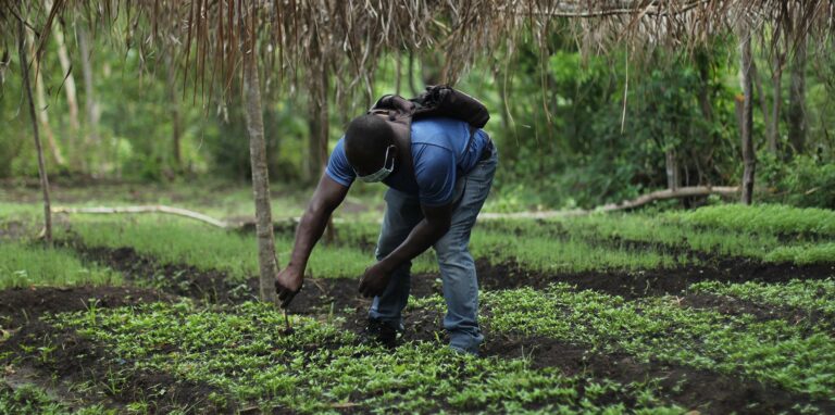 Benefits Of Organic Food